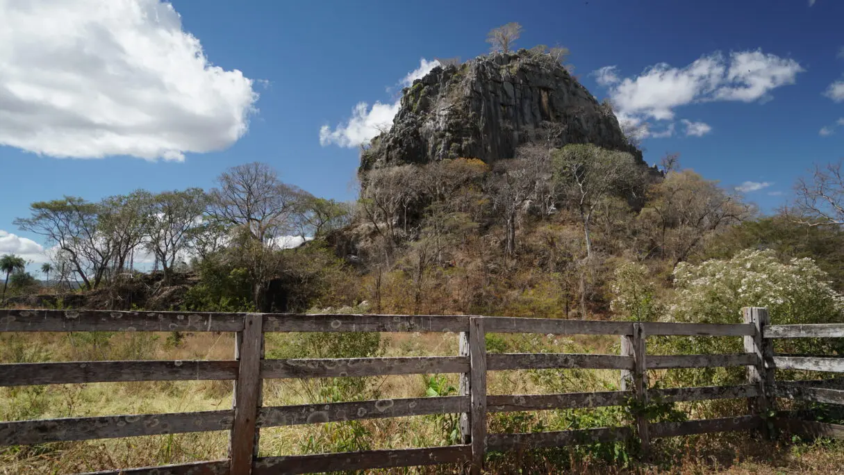 Toca a Onça em Formosa (Foto: Secretaria de Turismo e Cultura de Formosa)