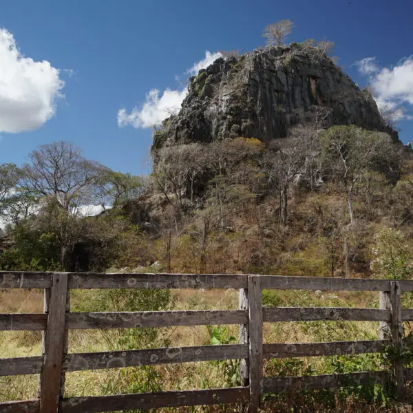 Toca a Onça em Formosa (Foto: Secretaria de Turismo e Cultura de Formosa)