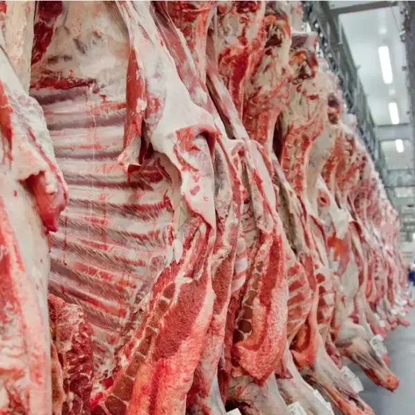 Carne_exportações para China