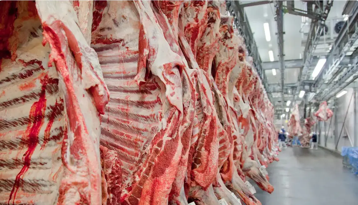 Carne_exportações para China