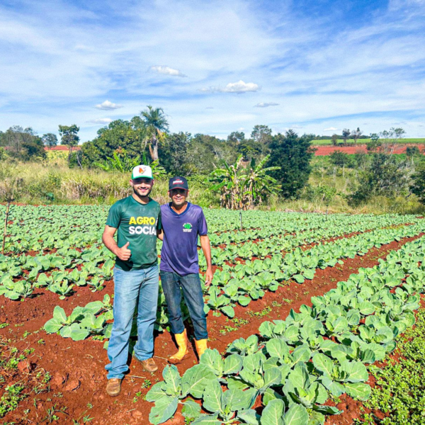 Agricultor familiar pode ter acesso ao CAF