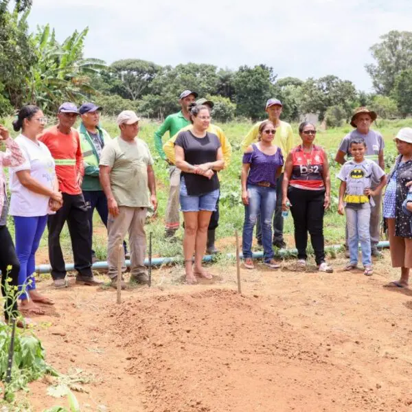 pessoas reunidas na 6ª edição do Agro é Social Foto: Emater