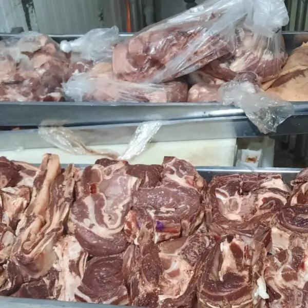 Carne apreendida pelo Procon_Procon Goiás