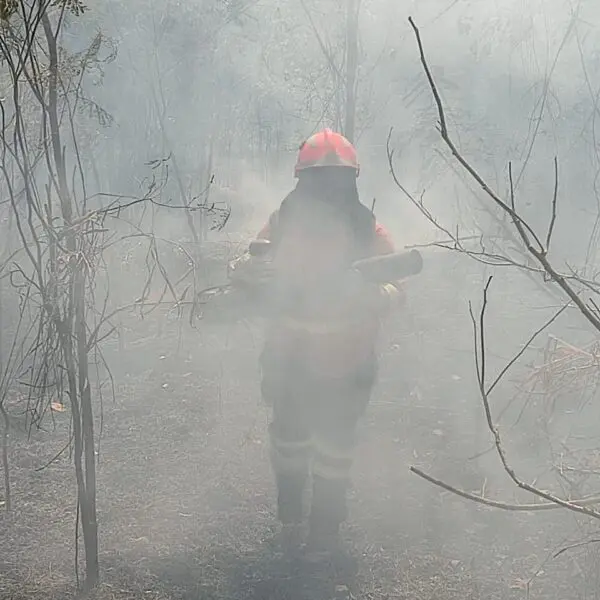 Incêndio na Chapada