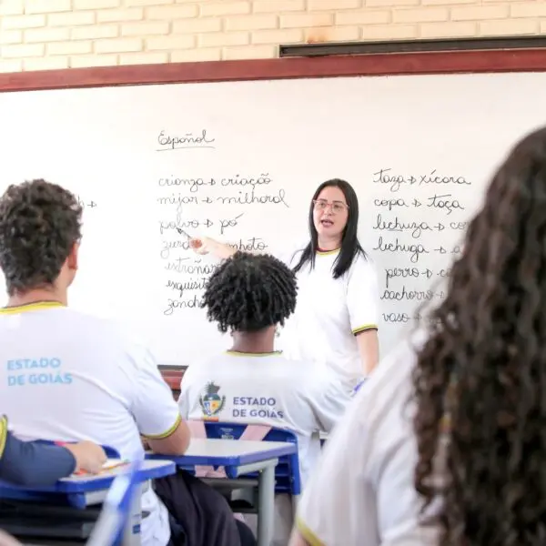 Novos professores rede estadual de ensino Foto Seduc