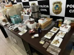 Produtos apreendidos no laboratório de cogumelos alucinógenos