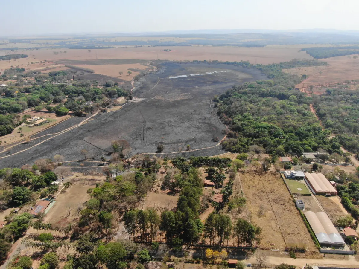 Polícia indicia suspeitos de três incêndios em vegetação