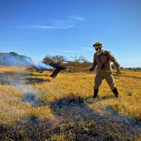 Goiás intensifica monitoramento de queimadas em áreas agrícolas