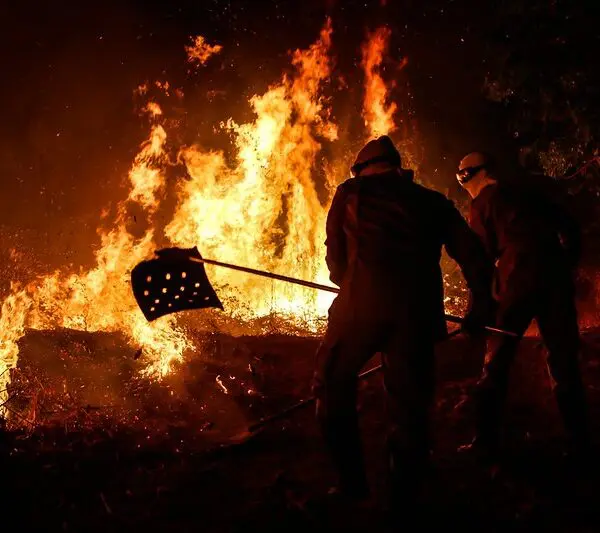 Incêndio em vegetação em Goiás