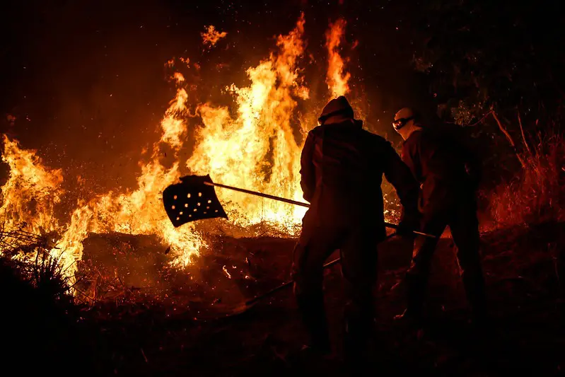 Incêndio em vegetação em Goiás