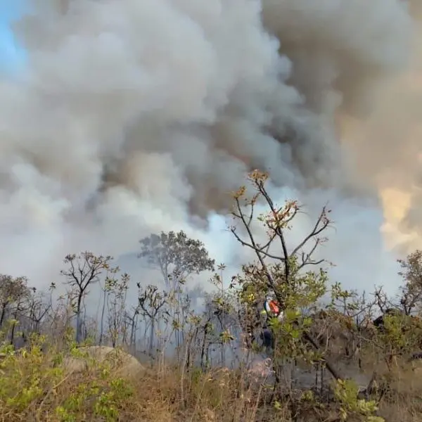 Incêndio afeta 37% do Parque Estadual dos Pireneus