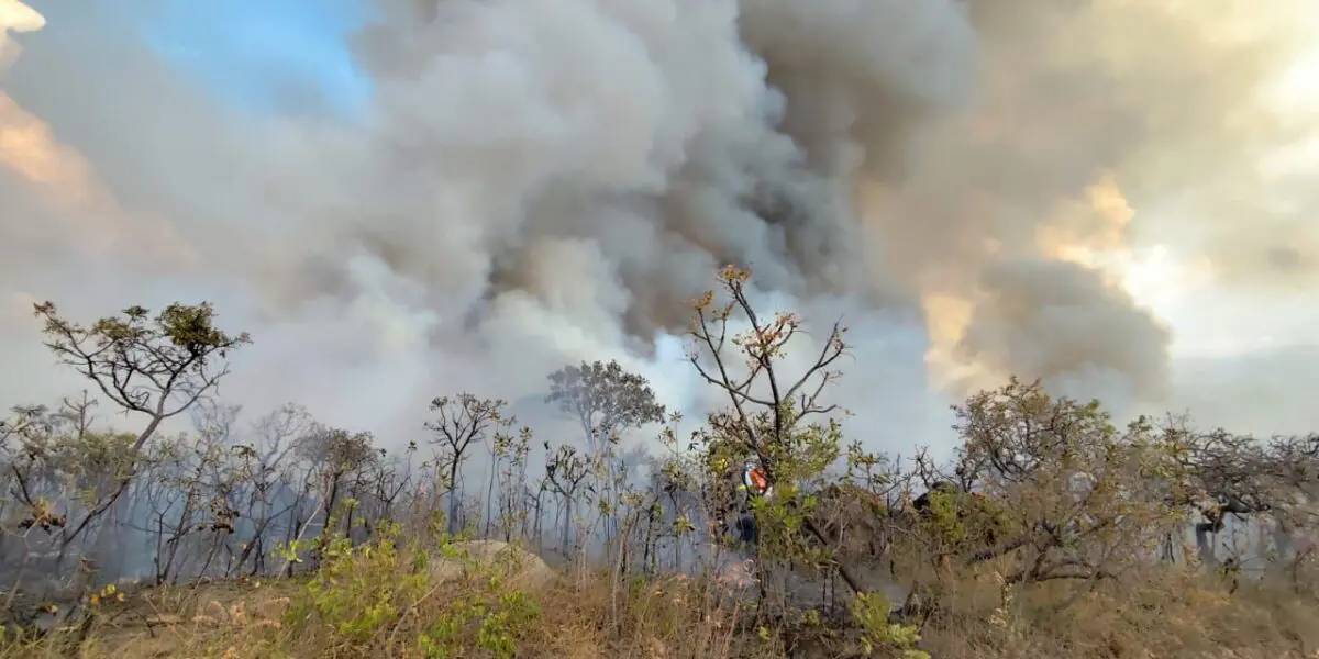 Incêndio afeta 37% do Parque Estadual dos Pireneus