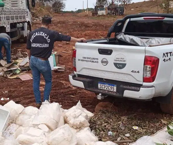 Queijo apreendido pela Agrodefesa