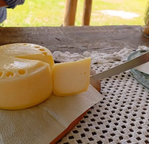 Mineira escolhe Goiás para fabricar queijo artesanal