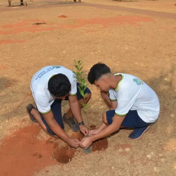 Semad e Seduc realizam plantio de árvores no Bairro da Vitória, em Goiânia