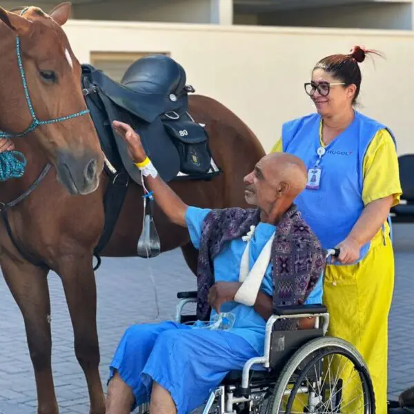 Pacientes do Hugol vão receber visita de equinos da cavalaria da PM