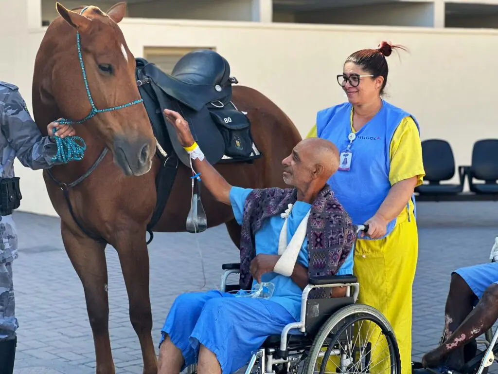 Pacientes do Hugol vão receber visita de equinos da cavalaria da PM