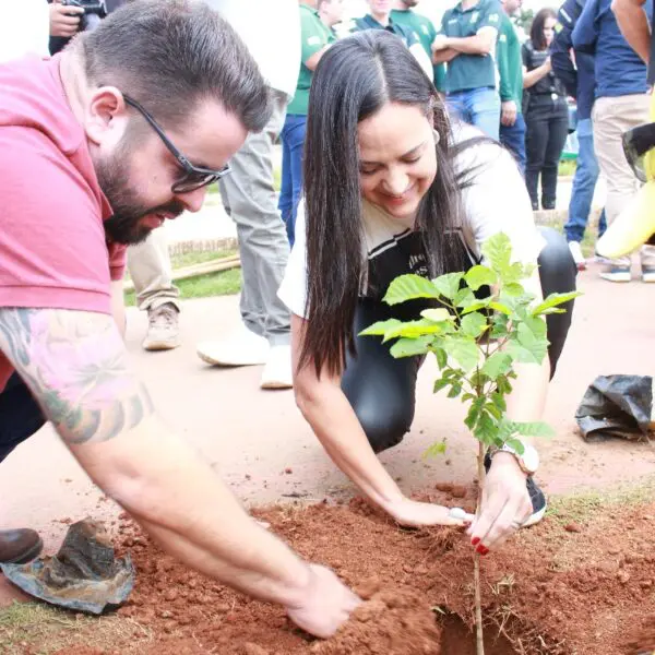 virada ambiental