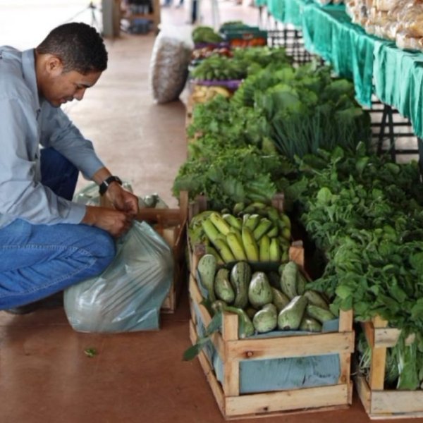 PAA investiu R$ 26 milhões no fortalecimento da agricultura familiar em Goiás