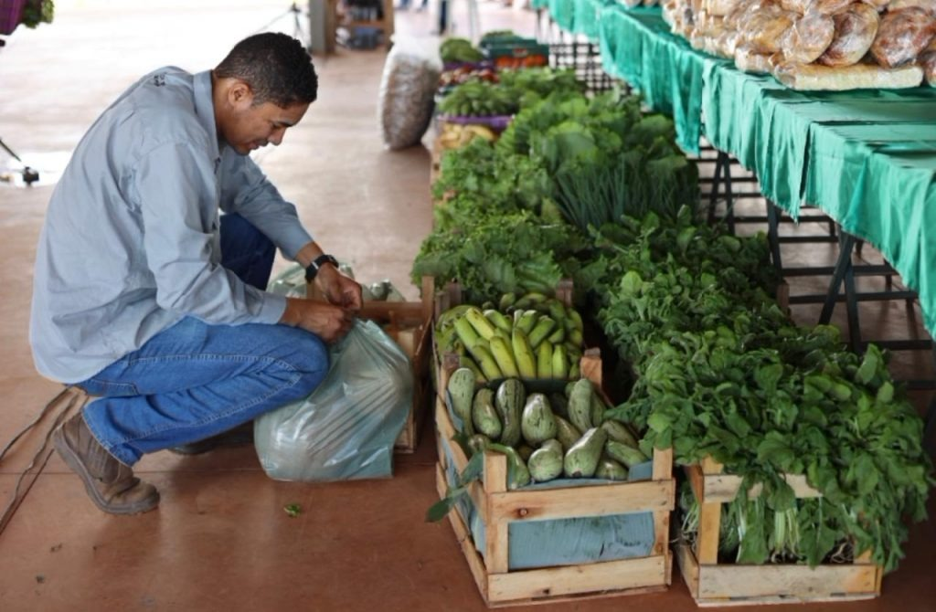 PAA investiu R$ 26 milhões no fortalecimento da agricultura familiar em Goiás