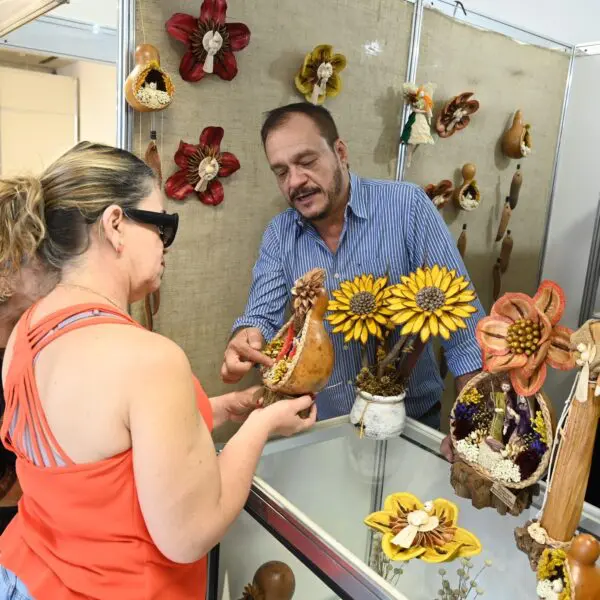 Goiás Feito à Mão terá edição de Natal na Praça Cívica