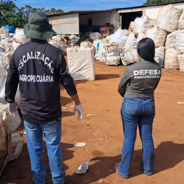 Apreensão de embalagens de agrotóxicos