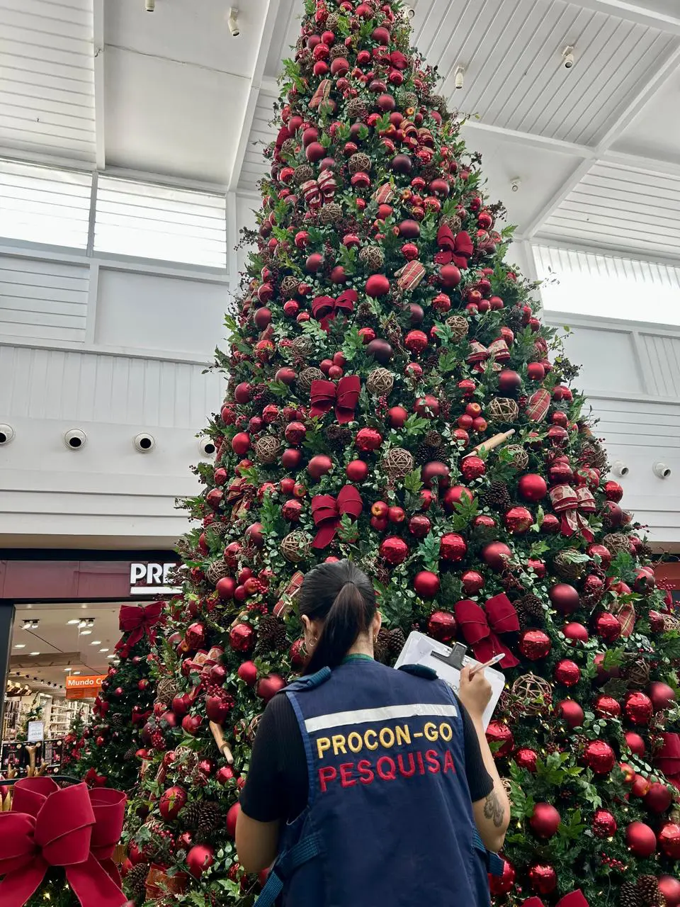 Natal: pesquisa do Procon Aponta variação de até 184% em preços de presentes