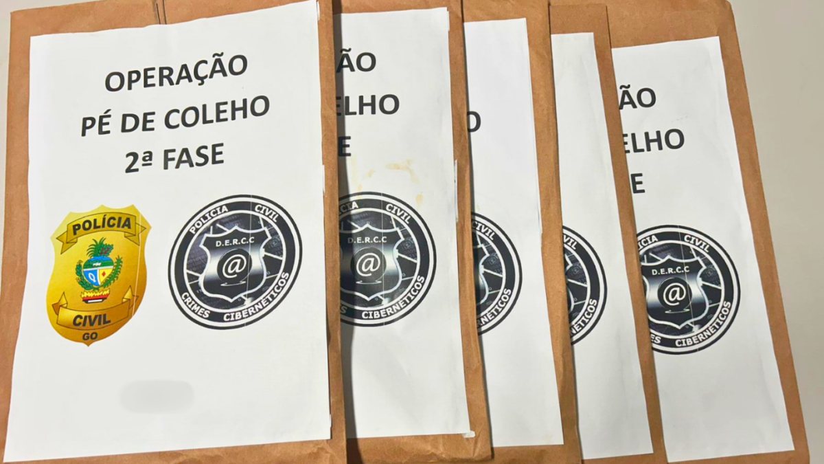 Polícia atua contra fraude eletrônica e organização criminosa