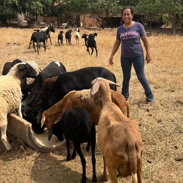 Governo de Goiás destina recursos a agricultores familiares