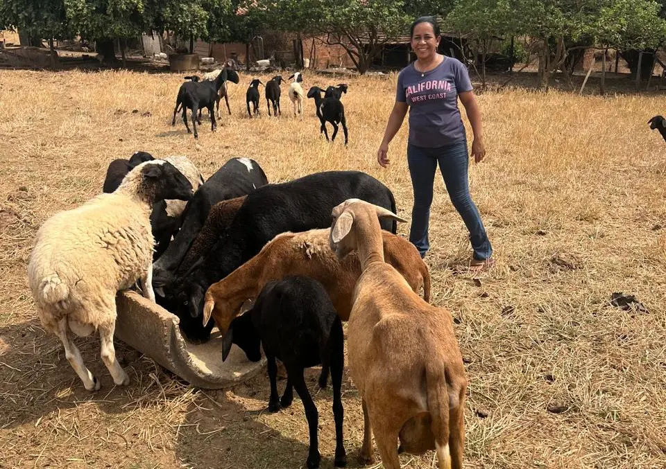 Governo de Goiás destina recursos a agricultores familiares