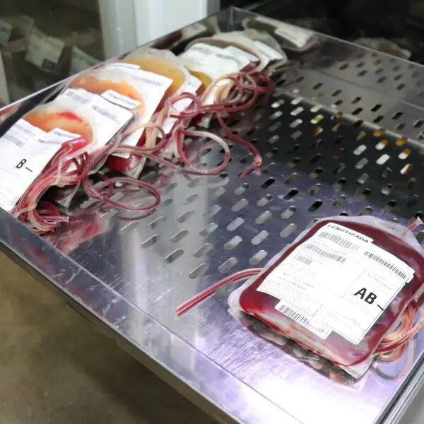 Hemocentro de Goiás convoca voluntários para doação de sangue