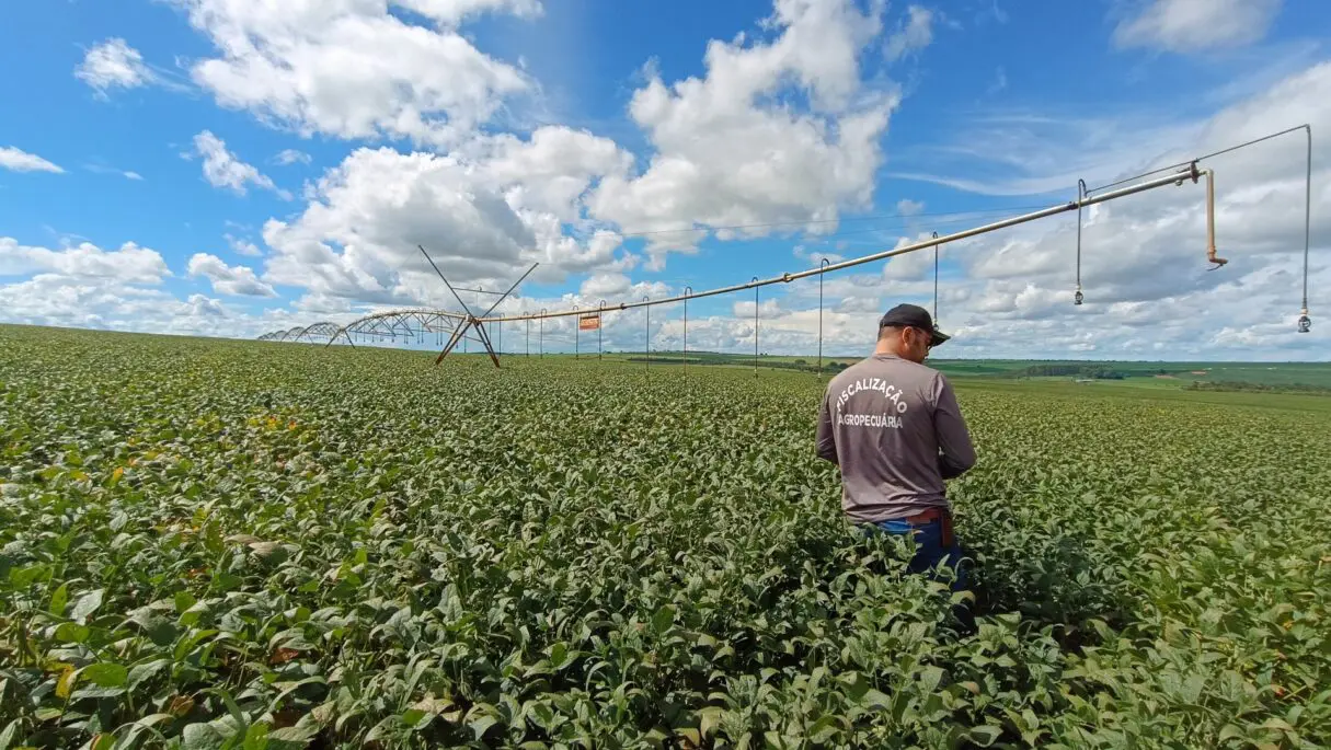 Agrodefesa orienta sanidade vegetal na Expedição Safra Goiás