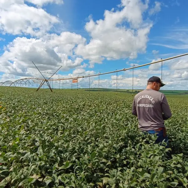 Agrodefesa orienta sanidade vegetal na Expedição Safra Goiás