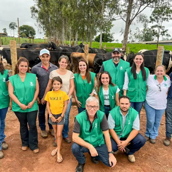 Fazendas colhem resultados do Projeto Bovinocultura Sustentável