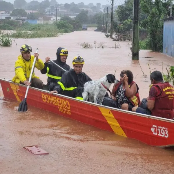 Goiás Alerta e Solidário intensifica resgates em meio às fortes chuvas no Estado