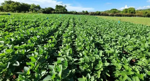 Goiás investe R$ 3,6 milhões em inovações sustentáveis para a agricultura