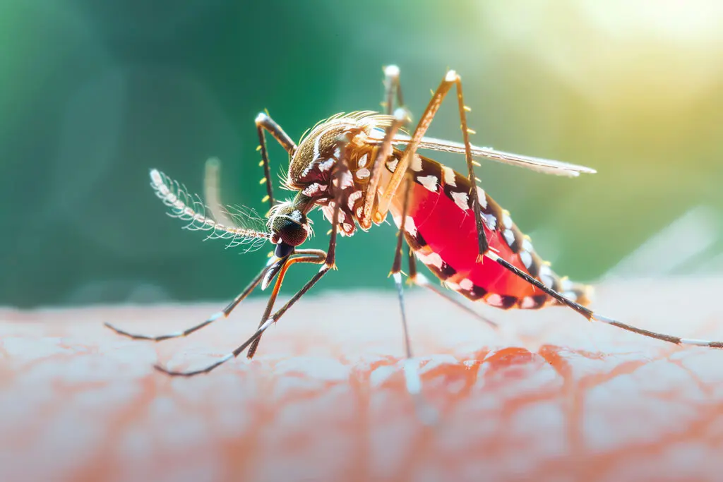 HEJ alerta para aumento de casos de Dengue e Chikungunya em Jataí