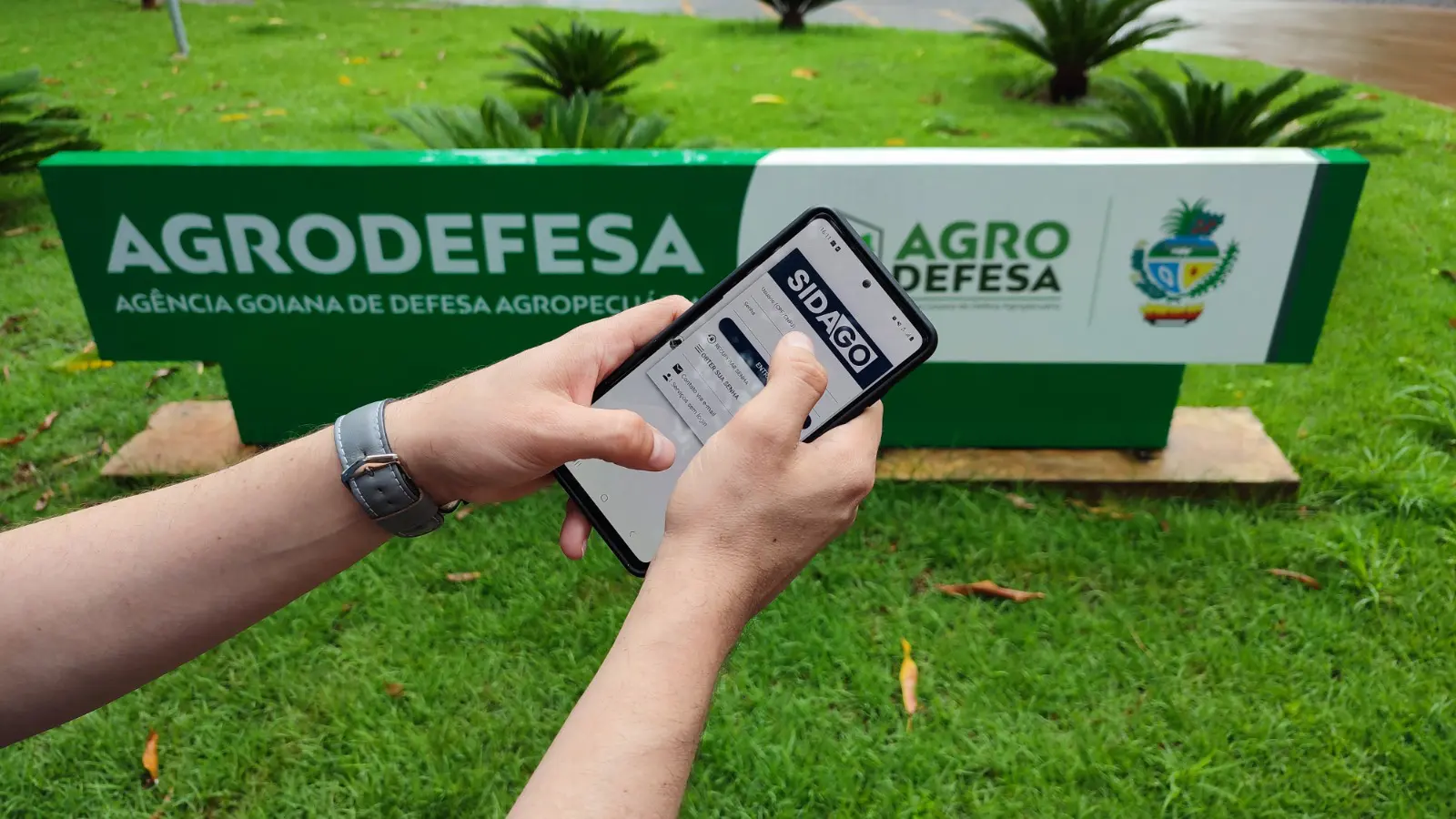 Sidago sistea de defesa agropecuária