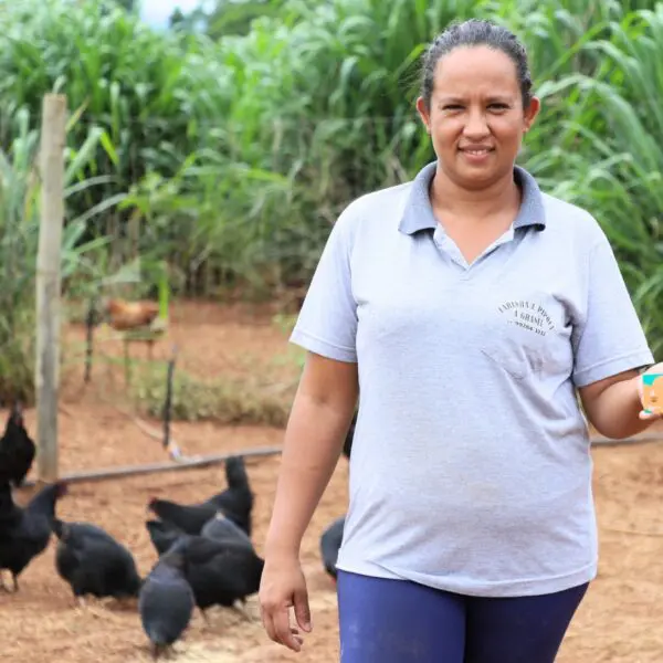 Agricultura beneficiada com o Crédito Social