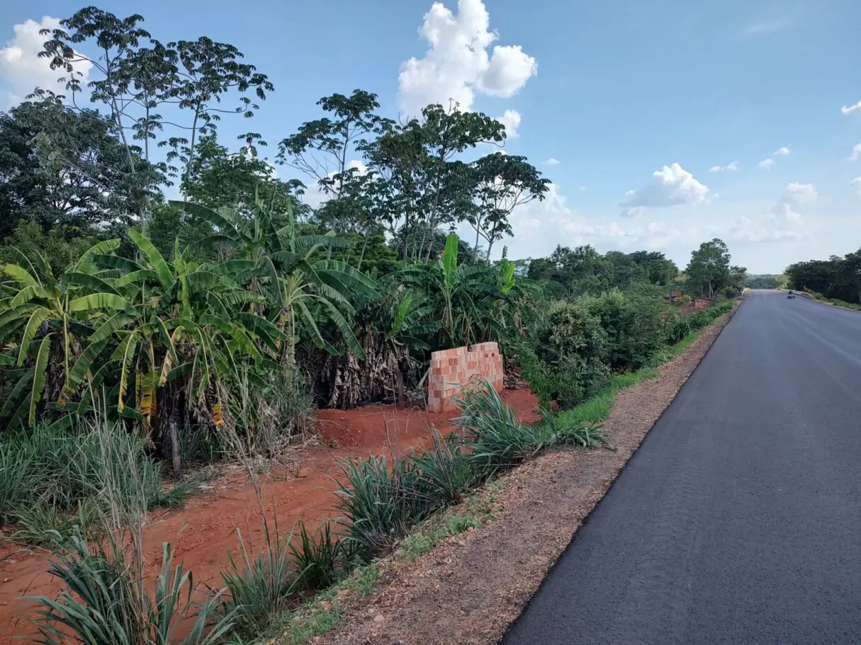 Agrodefesa alerta para riscos do cultivo de bananeiras em faixas de domínio de rodovias