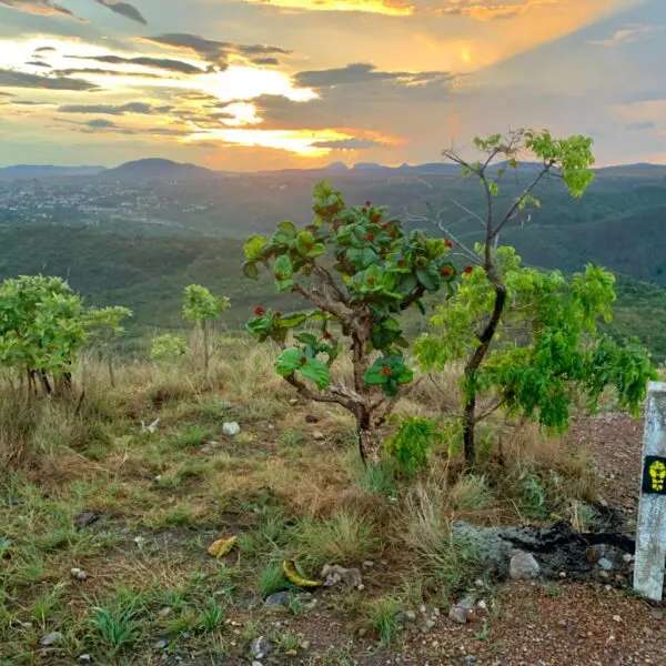 Caminho dos Veadeiros passa a integrar Rede Nacional de Trilhas