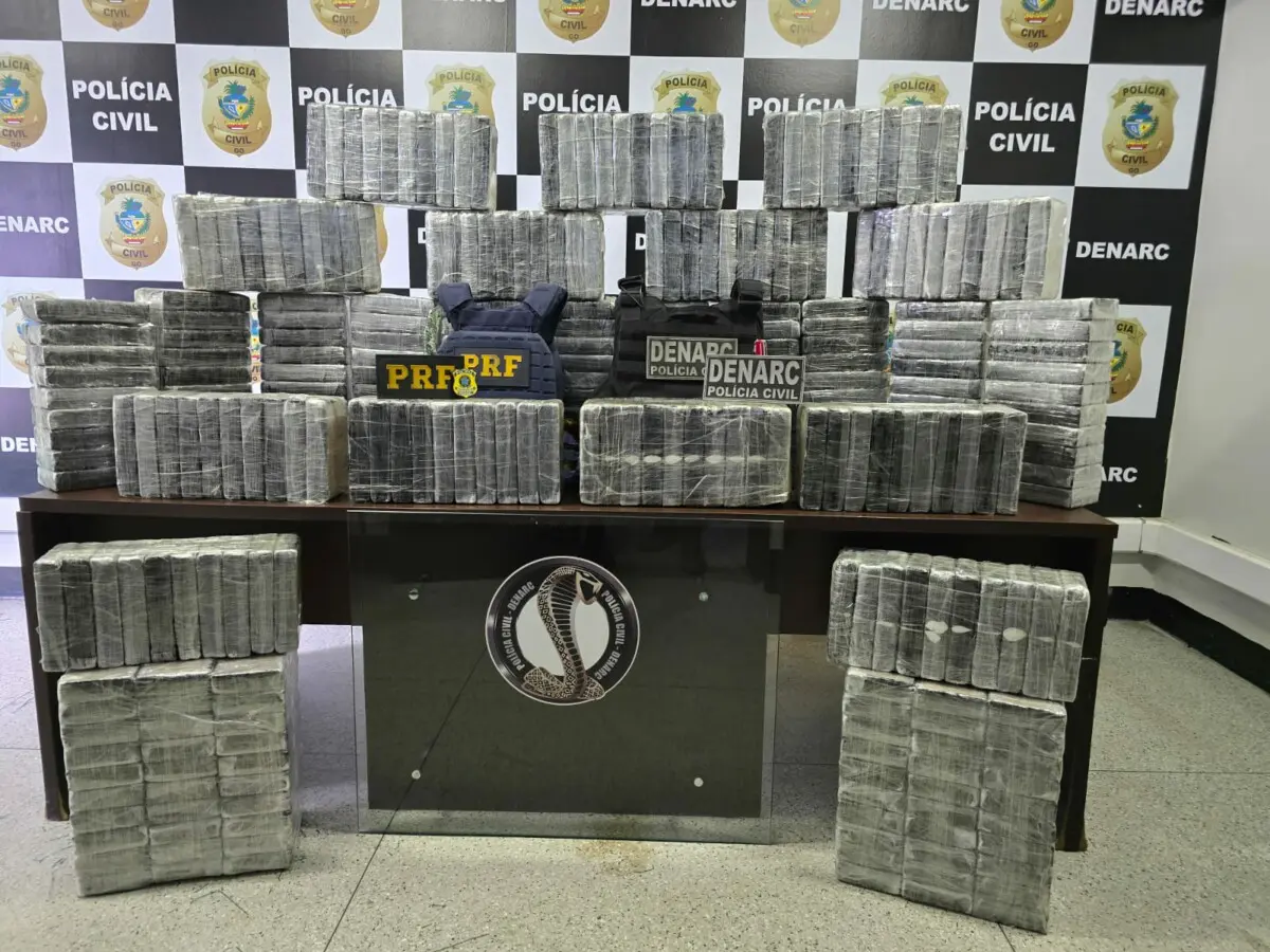 Operação apreende mais de 300 kg de cocaína pura