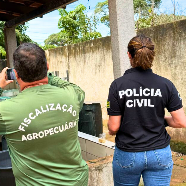 Polícia apreende 100 quilos de queijo em laticínio clandestino