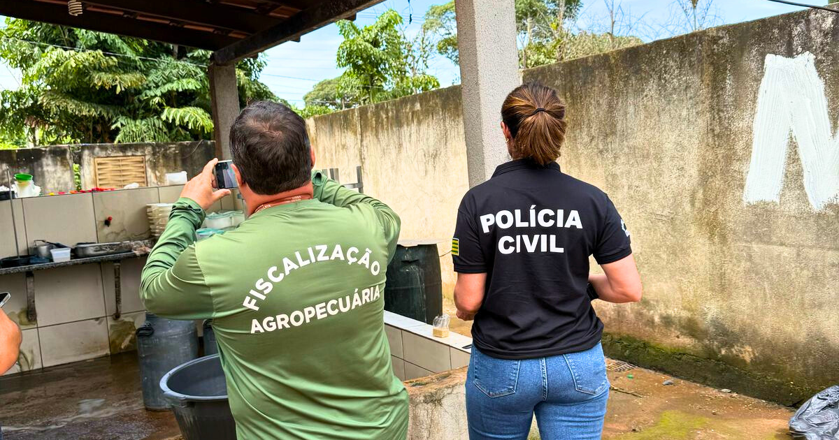 Polícia apreende 100 quilos de queijo em laticínio clandestino