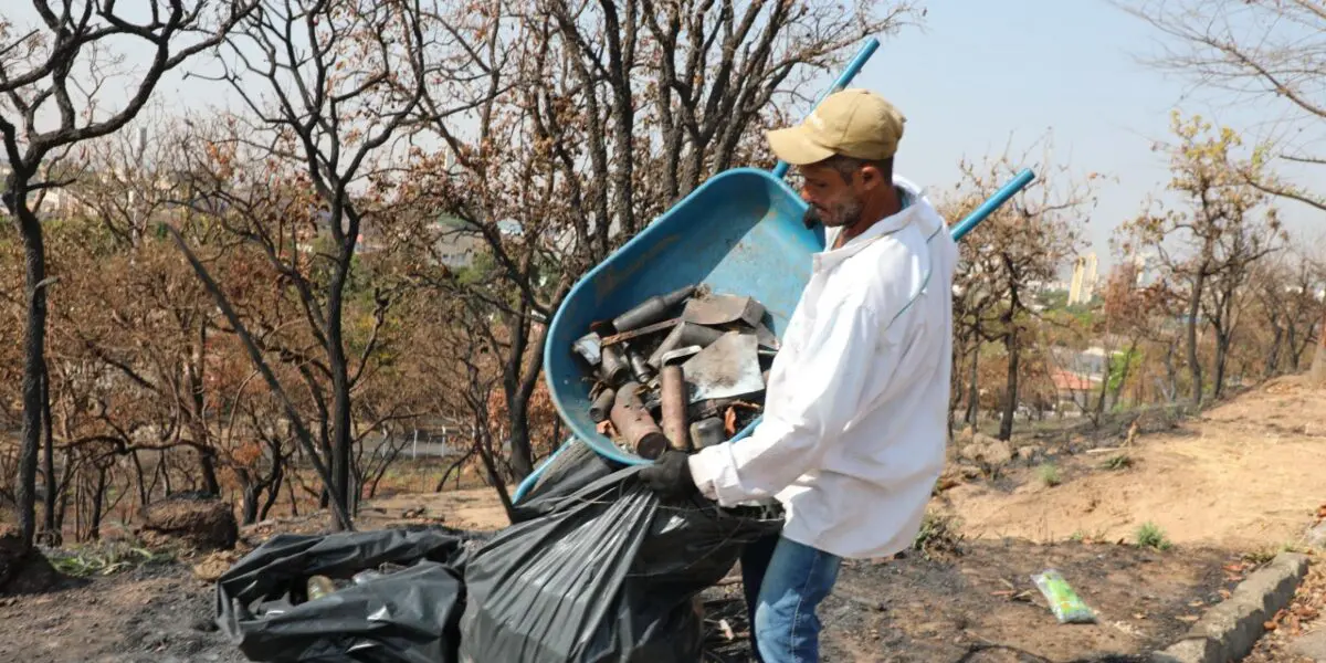 Goiás tem menor índice de perda de água tratada do Brasil - Recuperacao de area degradada