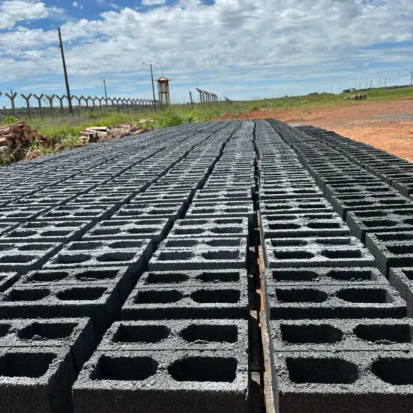 construção de muro na unidade prisional de Rio Verde