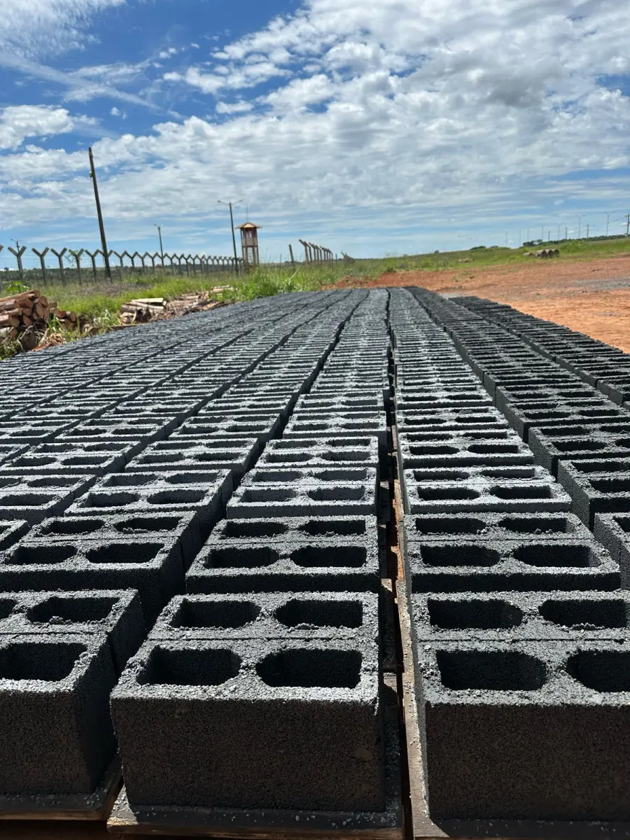 construção de muro na unidade prisional de Rio Verde