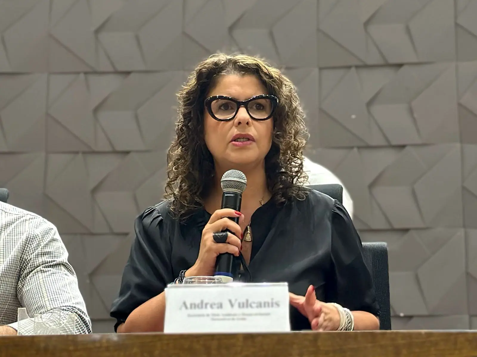 Secretária Andréa Vulcanis na abertura da Conferência Estadual do Meio Ambiente