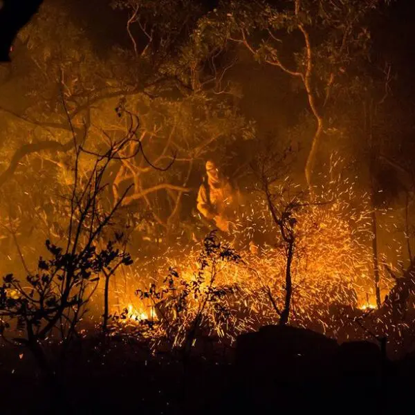 Governo investe R$ 1 milhão na prevenção de incêndios no Cerrado