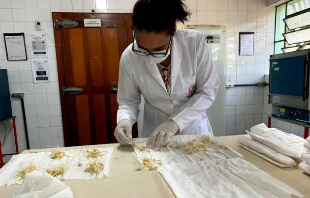 Laboratório de sementes agrodefesa
